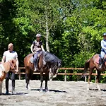 Val Salice Horses Oda ve Kahvaltı *