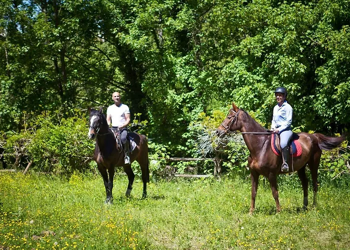 Val Salice Horses 토리노