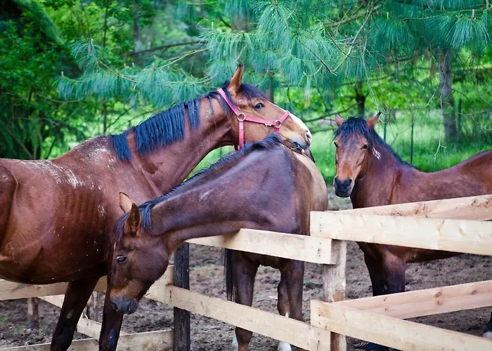 Val Salice Horses B&B 토리노