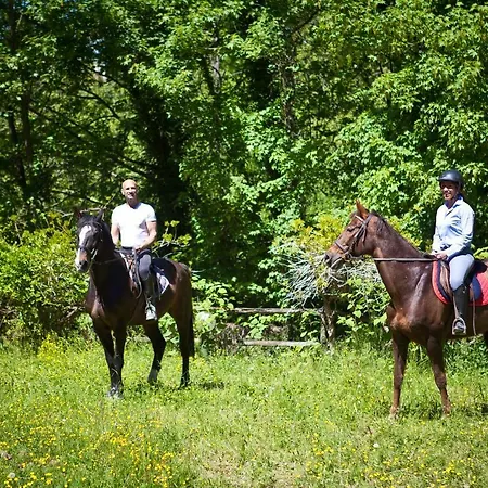 Val Salice Horses Турин